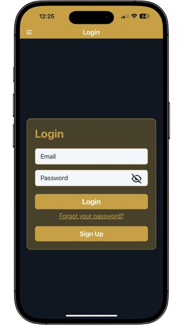 Login Interface