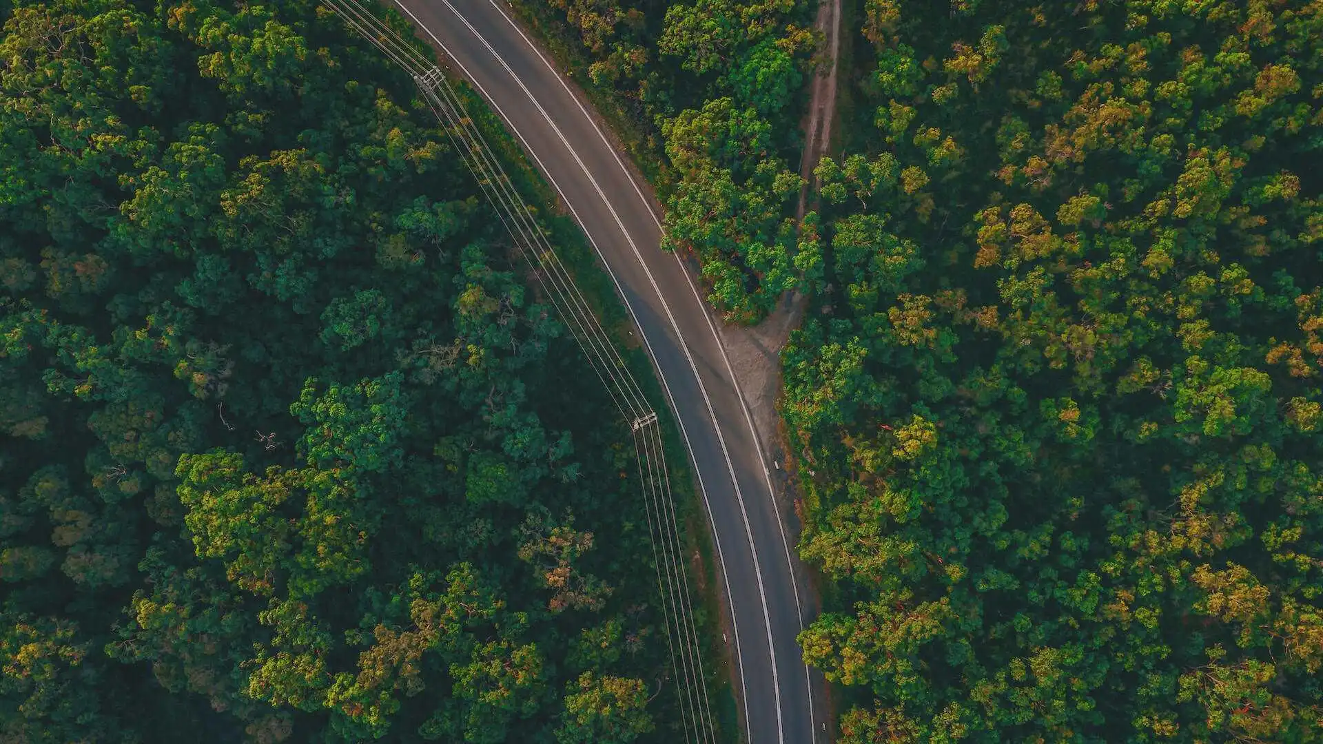 Aerial view of a curved road passing through a green forest